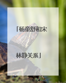 杨童舒和宋林静关系