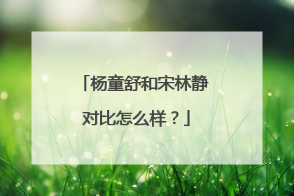 杨童舒和宋林静对比怎么样?