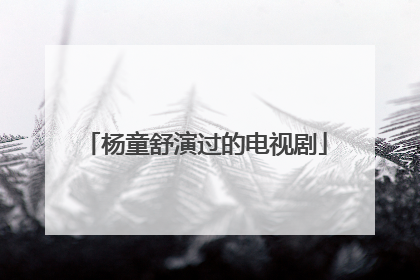 杨童舒演过的电视剧