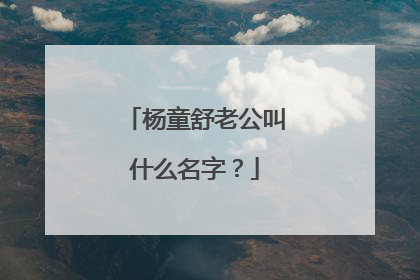 杨童舒老公叫什么名字?