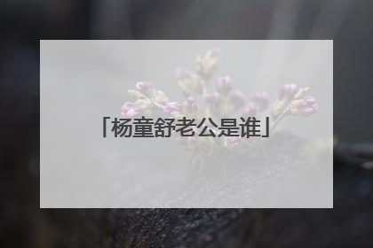 杨童舒老公是谁