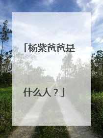 杨紫爸爸是什么人？