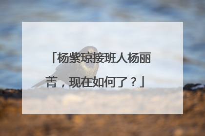 杨紫琼接班人杨丽菁，现在如何了？