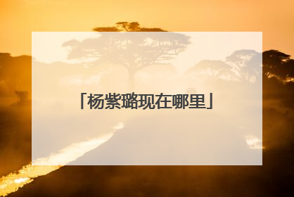 杨紫璐现在哪里