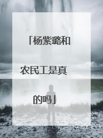 杨紫璐和农民工是真的吗