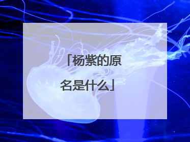 杨紫的原名是什么