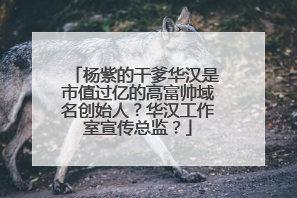 杨紫的干爹华汉是市值过亿的高富帅域名创始人?华汉工作室宣传总监?