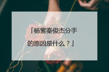 杨紫秦俊杰分手的原因是什么?