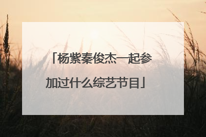 杨紫秦俊杰一起参加过什么综艺节目