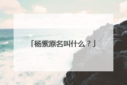 杨紫原名叫什么?