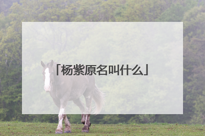 杨紫原名叫什么