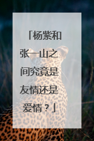杨紫和张一山之间究竟是友情还是爱情？