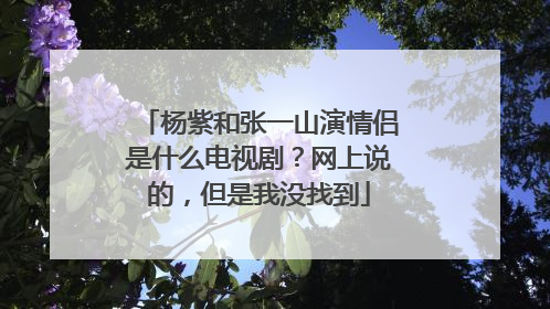 杨紫和张一山演情侣是什么电视剧？网上说的，但是我没找到