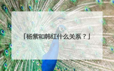 杨紫和韩红什么关系？