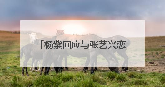 杨紫回应与张艺兴恋情传闻,网友关注的事有了答案,她到底是怎样回应的呢?