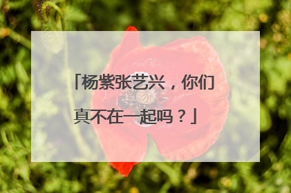 杨紫张艺兴，你们真不在一起吗？