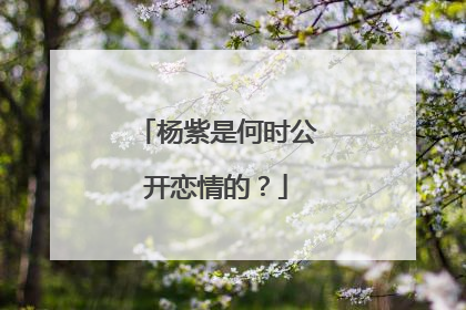 杨紫是何时公开恋情的?