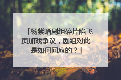 杨紫晒剧组碎片陷飞页加戏争议,剧组对此是如何回应的?