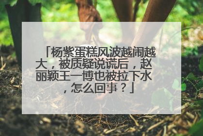 杨紫蛋糕风波越闹越大，被质疑说谎后，赵丽颖王一博也被拉下水，怎么回事？