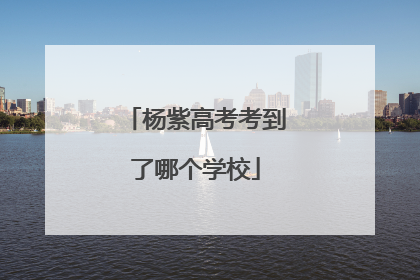 杨紫高考考到了哪个学校