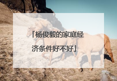 杨俊毅的家庭经济条件好不好