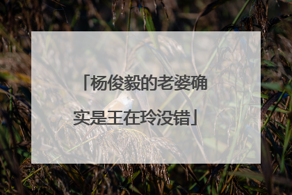 杨俊毅的老婆确实是王在玲没错