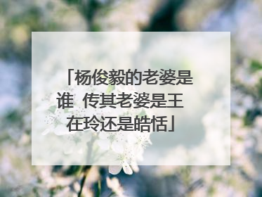 杨俊毅的老婆是谁 传其老婆是王在玲还是皓恬