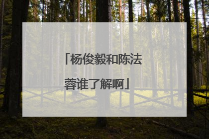 杨俊毅和陈法蓉谁了解啊