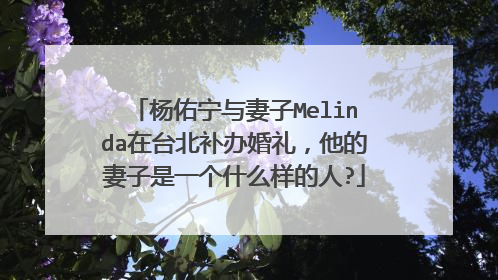 杨佑宁与妻子Melinda在台北补办婚礼，他的妻子是一个什么样的人?