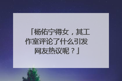 杨佑宁得女，其工作室评论了什么引发网友热议呢？