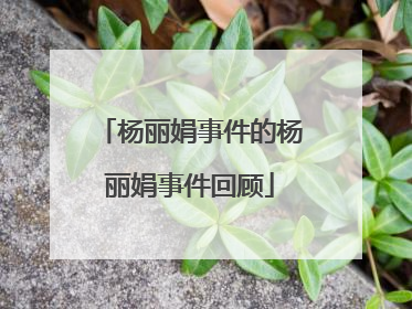 杨丽娟事件的杨丽娟事件回顾