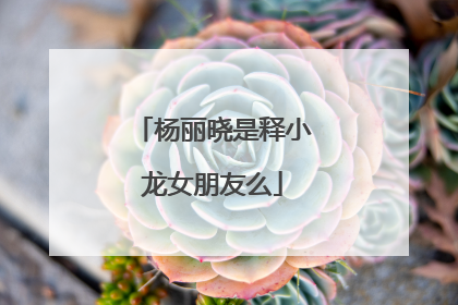 杨丽晓是释小龙女朋友么