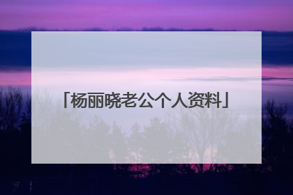 杨丽晓老公个人资料
