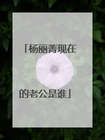 杨丽菁现在的老公是谁