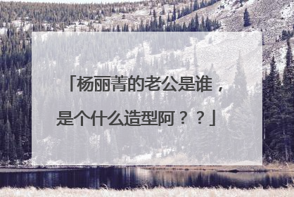 杨丽菁的老公是谁，是个什么造型阿？？