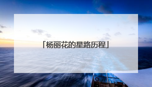 杨丽花的星路历程