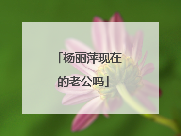 杨丽萍现在的老公吗