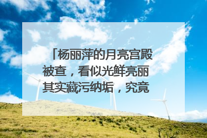 杨丽萍的月亮宫殿被查，看似光鲜亮丽其实藏污纳垢，究竟怎么回事？