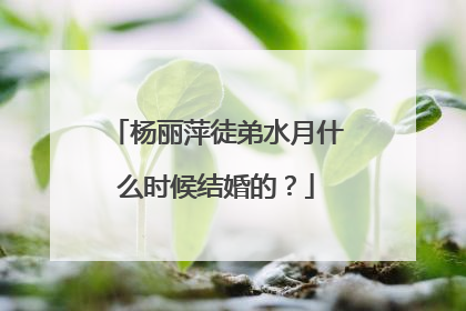 杨丽萍徒弟水月什么时候结婚的?
