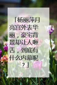 杨丽萍月亮宫外表华丽，豪宅背景却让人咂舌，到底有什么内幕呢？
