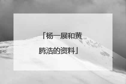 杨一展和黄腾浩的资料