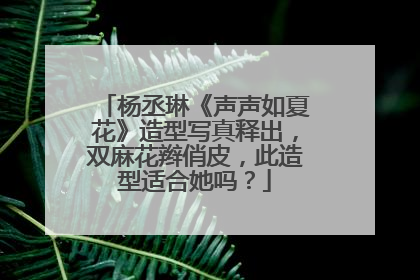 杨丞琳《声声如夏花》造型写真释出，双麻花辫俏皮，此造型适合她吗？