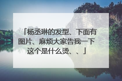杨丞琳的发型、下面有图片、麻烦大家告我一下这个是什么烫、、