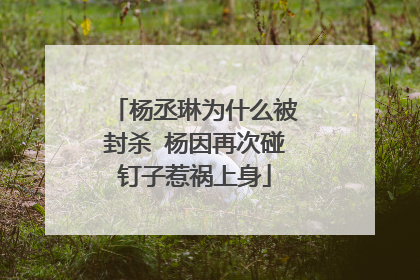 杨丞琳为什么被封杀 杨因再次碰钉子惹祸上身