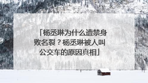 杨丞琳为什么遭禁身败名裂?杨丞琳被人叫公交车的原因真相