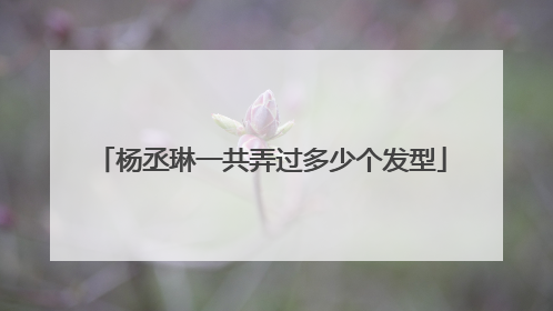 杨丞琳一共弄过多少个发型