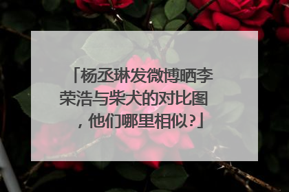 杨丞琳发微博晒李荣浩与柴犬的对比图，他们哪里相似?