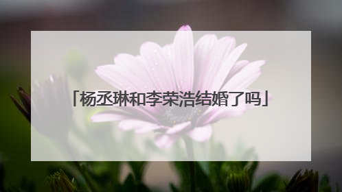 杨丞琳和李荣浩结婚了吗