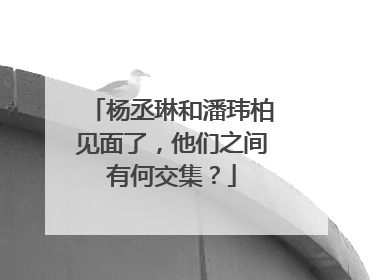 杨丞琳和潘玮柏见面了,他们之间有何交集?
