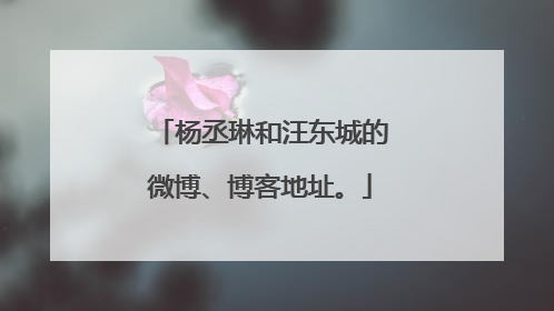 杨丞琳和汪东城的微博、博客地址。